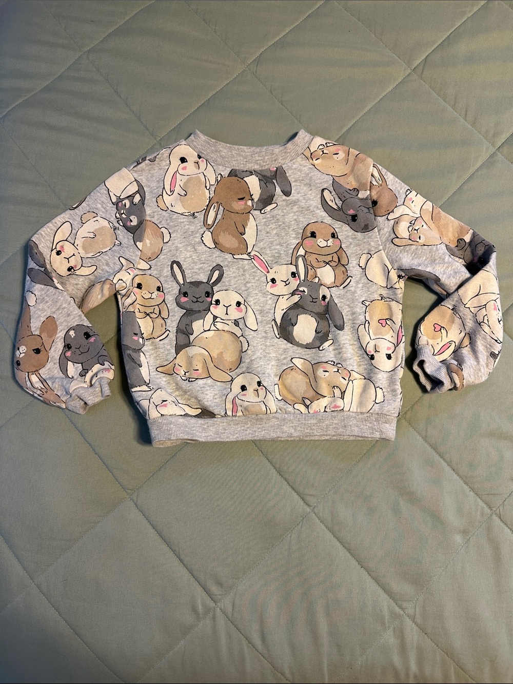 H&M Grey Kids Sweatshirt with Bunny Print